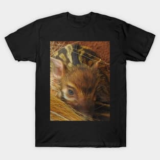 Red River Hog Piglet T-Shirt